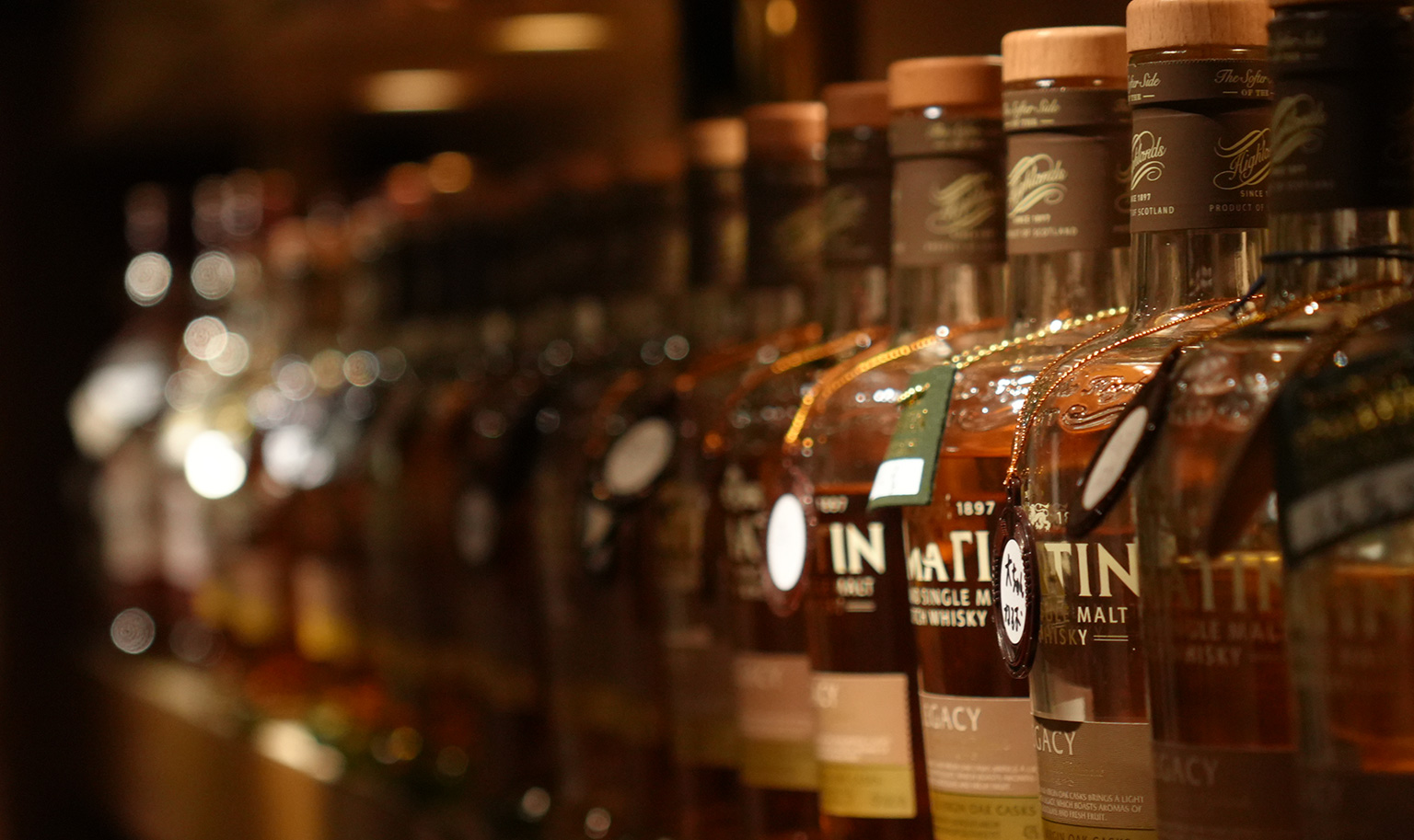 メンバーズ優木5